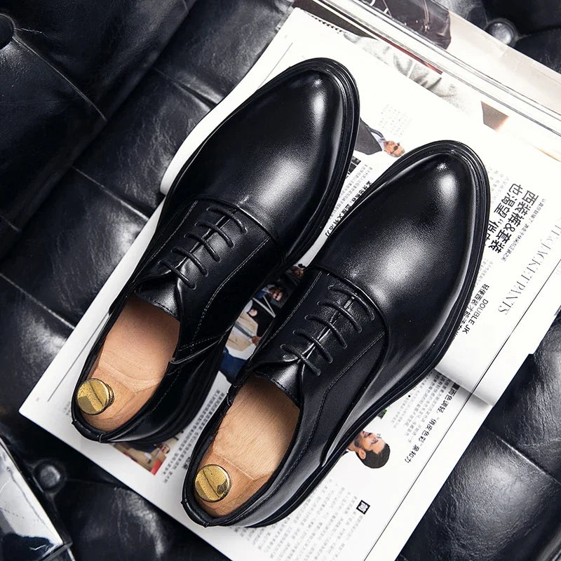 Oxford Bordeaux — Colección Formal Zenvaro