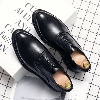 Oxford Bordeaux — Colección Formal Zenvaro