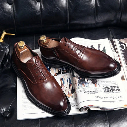 Oxford Bordeaux — Colección Formal Zenvaro