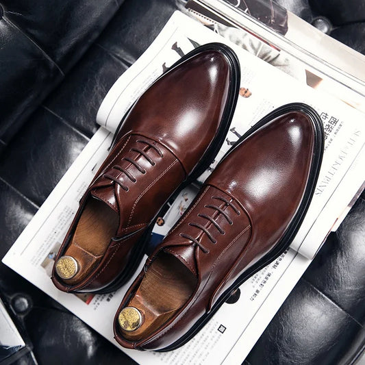 Oxford Bordeaux — Colección Formal Zenvaro
