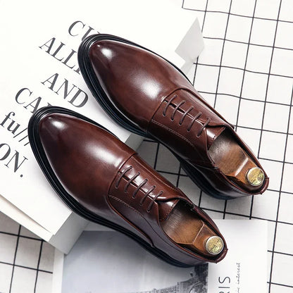 Oxford Bordeaux — Colección Formal Zenvaro