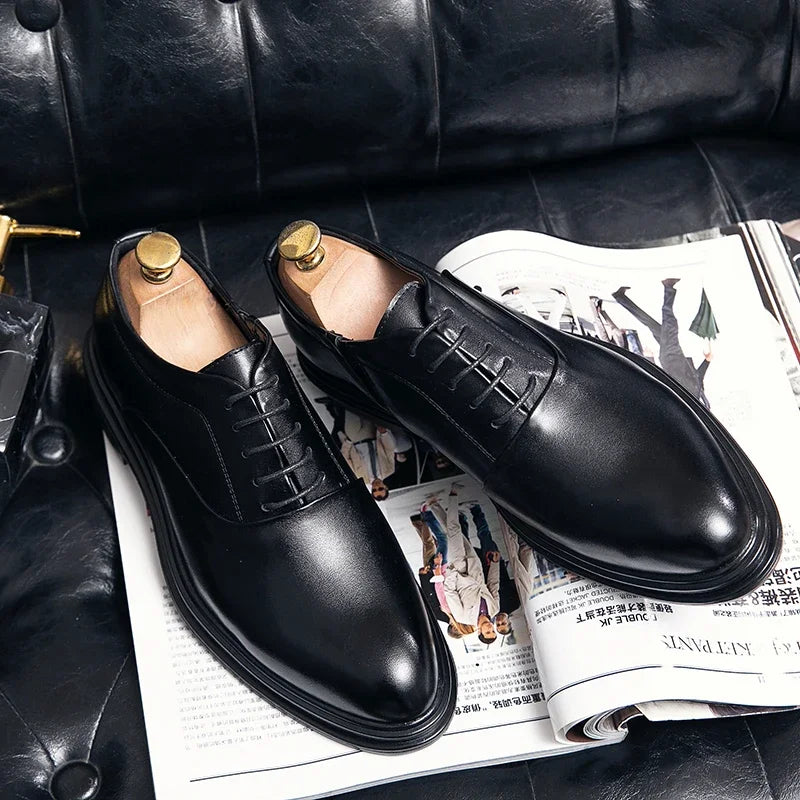 Oxford Bordeaux — Colección Formal Zenvaro