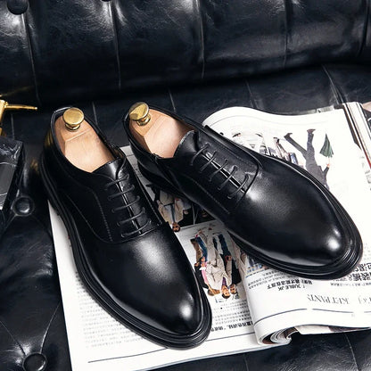Oxford Bordeaux — Colección Formal Zenvaro